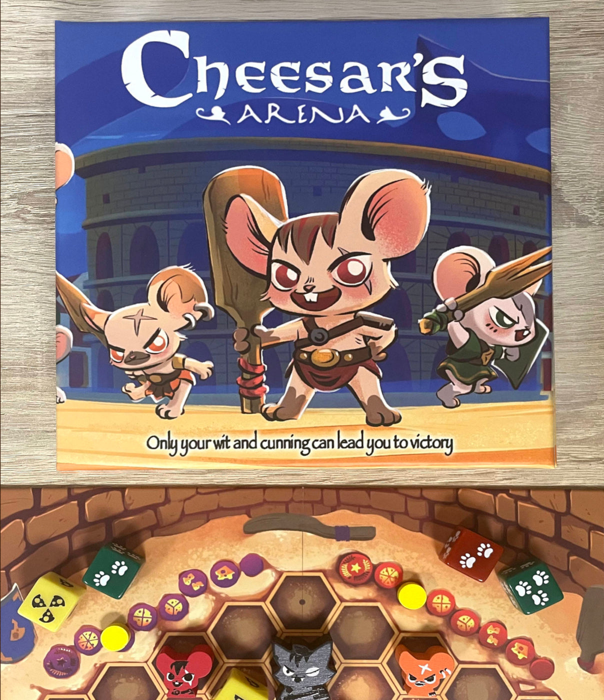 cheesar's arena game — amebastuff