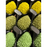 the durian game 2nd edition