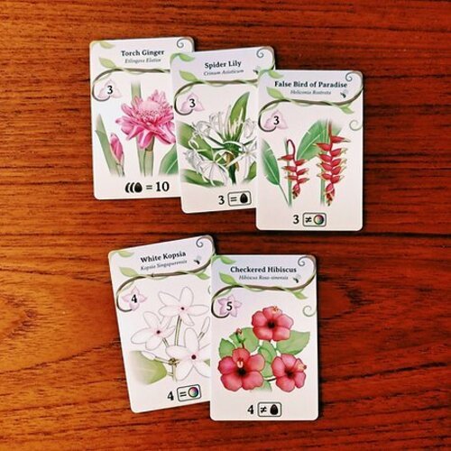 oh my orchids! game