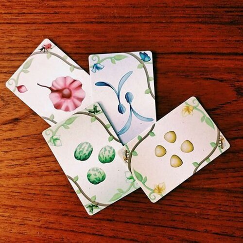oh my orchids! game