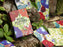petal plotters game