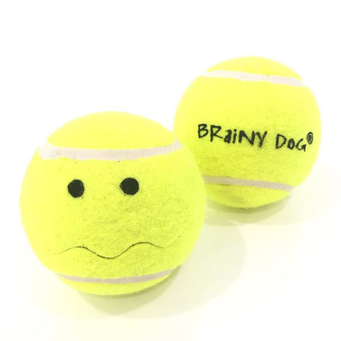 tennis puzzle ball for dogs