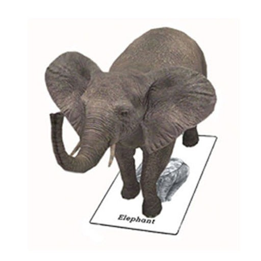 animal 4D cards