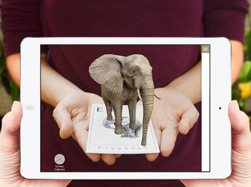 animal 4D cards