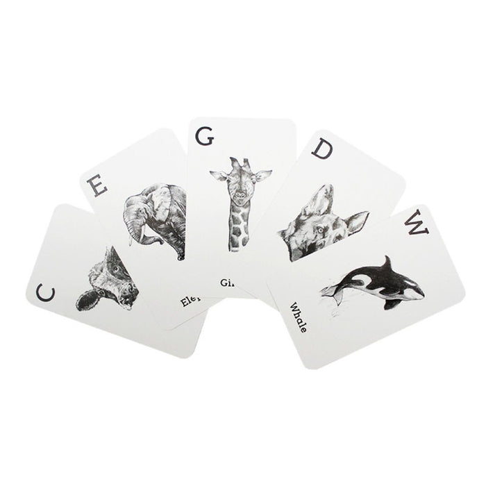 animal 4D cards
