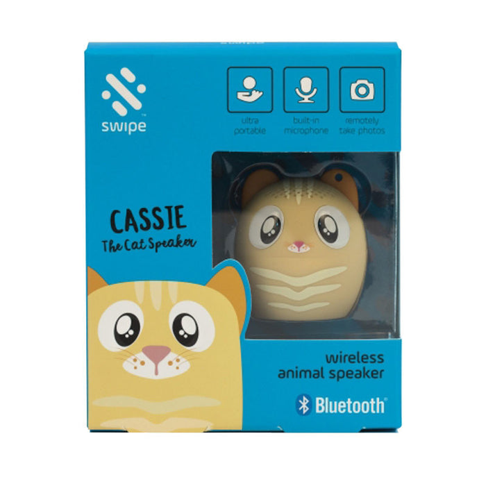 cat speaker