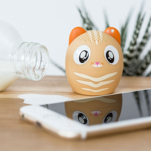 cat speaker