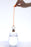 deep diver tea infuser