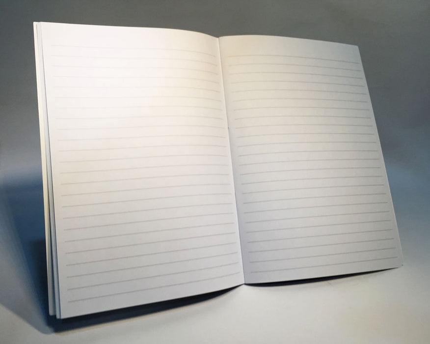 singlish set of 3 notebooks