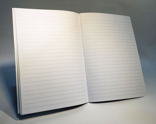 nobody notices notebook