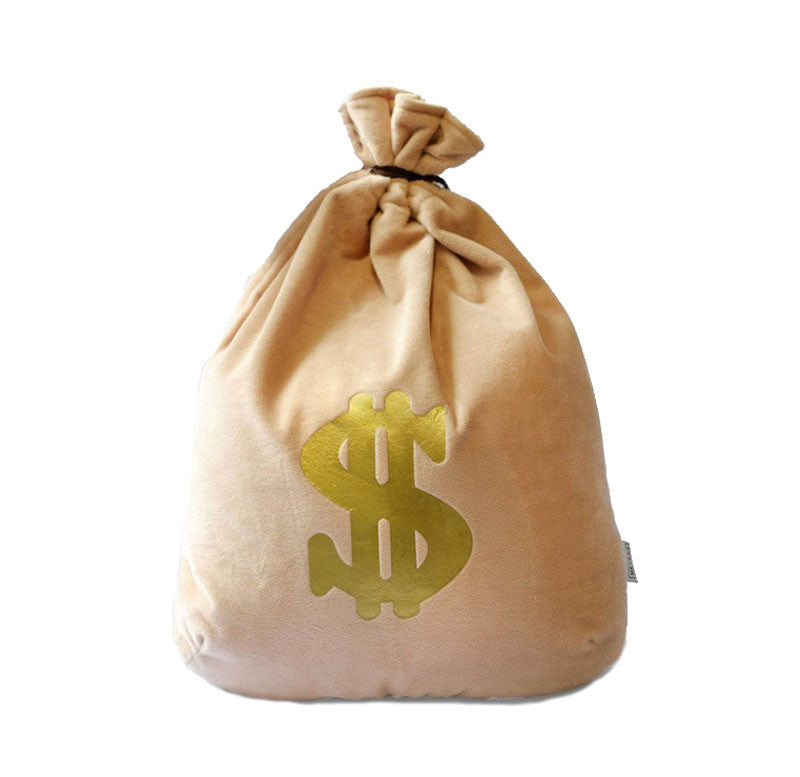 money bag cushion