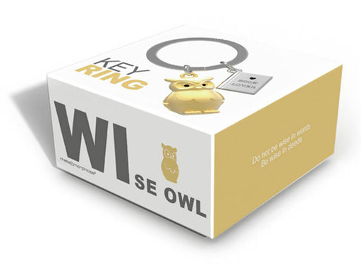 owl & book keyring