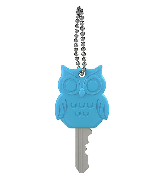 blue owl key cover