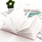 365 planner