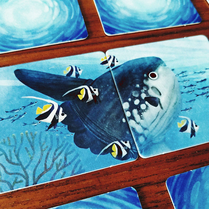 reef rescue game — amebastuff