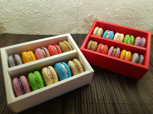 10 piece macaron set